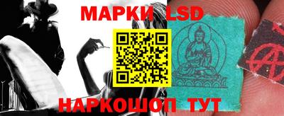 гидропоника Сланцы