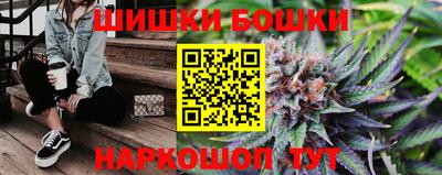 гидропоника Сланцы