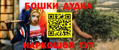 гидропоника Сланцы