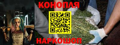 гидропоника Сланцы