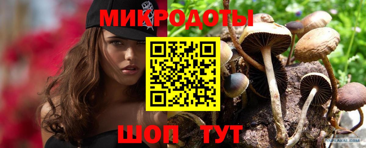 сколько стоит  Псилоцибиновые грибы GOLDEN TEACHER  Вход с VPN  Ртищево 
