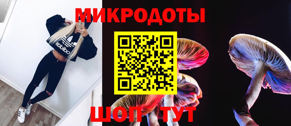 Галлюциногенные грибы MAGIC MUSHROOMS Ртищево